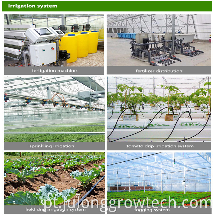greenhouse facilities 
